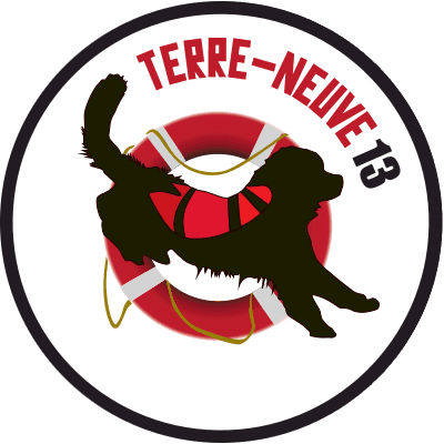 logo TN13