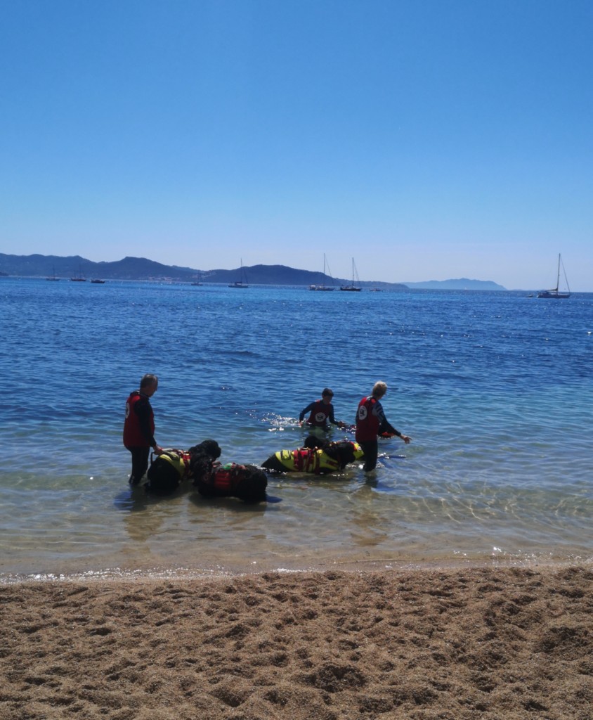 03 LA CIOTAT 7 JUIN