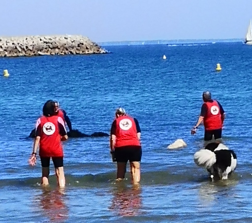 Palavas les Flots 13/14/06/2026