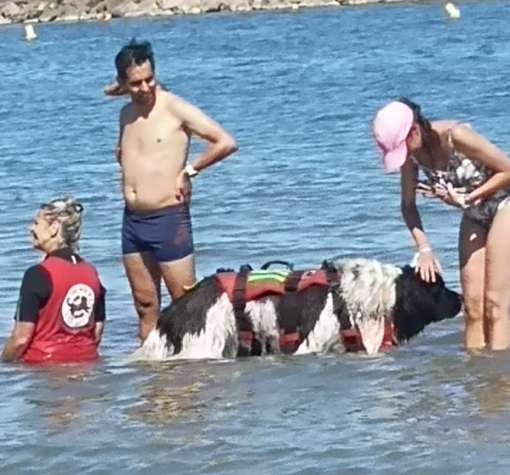 Palavas les Flots 13/14/06/2026
