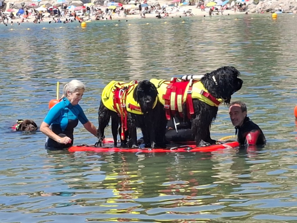L'équipe des jaunes sur le paddle