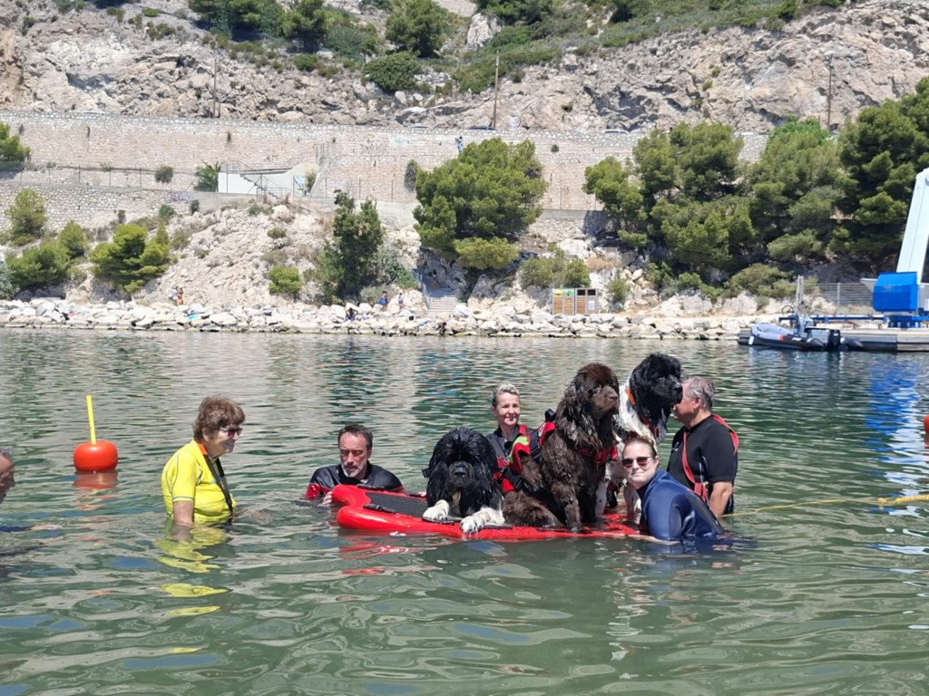 L'équipe des rouges sur le paddle