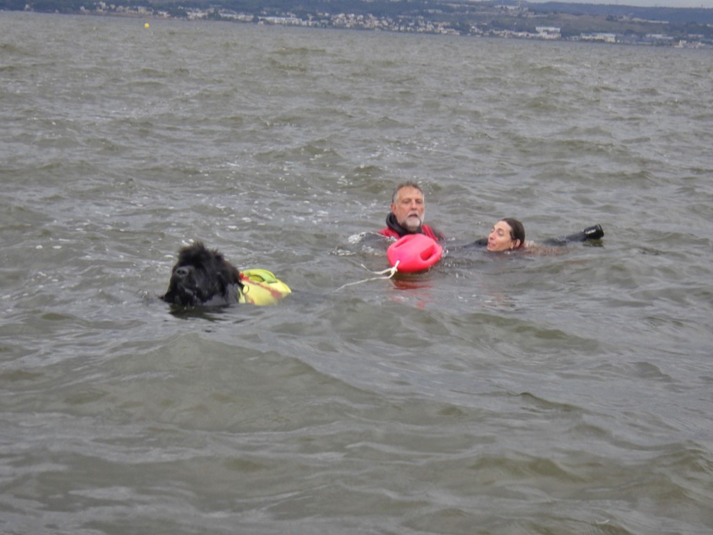 Ronan, Patrick Et Christelle