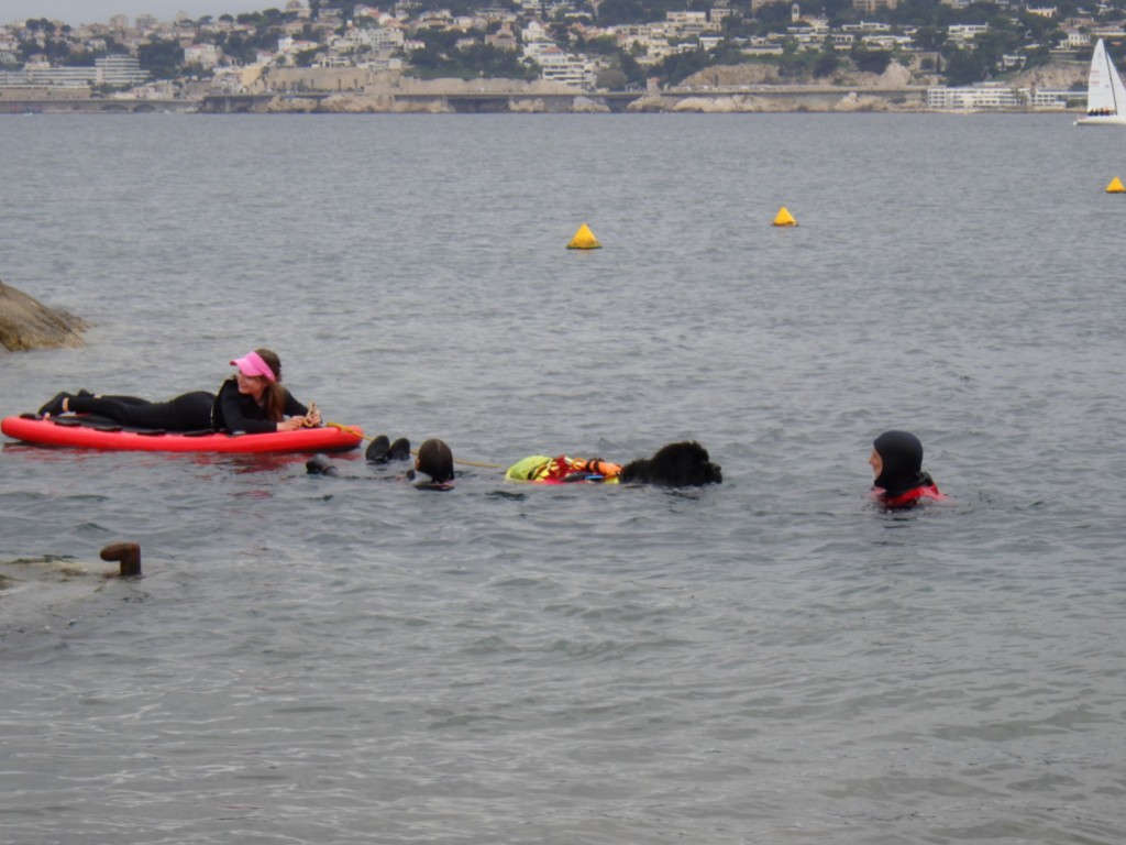 Ronan, Christelle, "Une Victime" Et Patrick