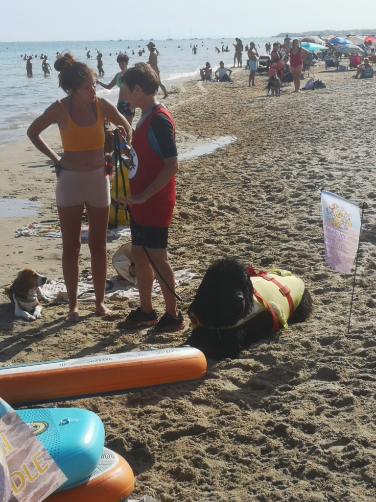 Canid'Oc Festi